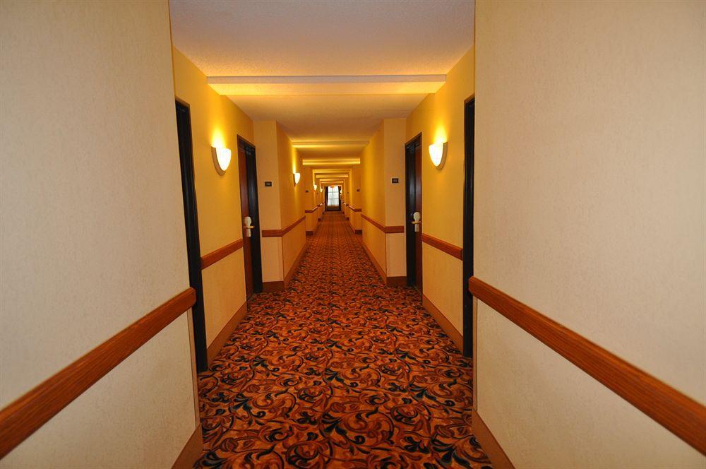 Comfort Inn & Suites New Orleans Airport North Kenner Interiør billede